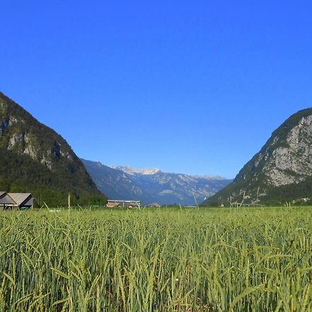 Apartament V Objemu Gora Bohinj Zewnętrze zdjęcie