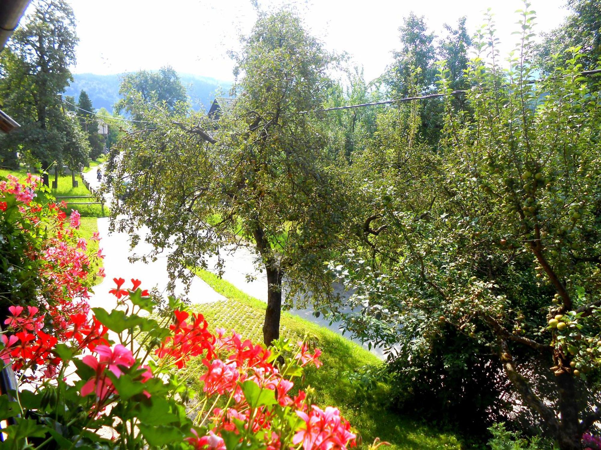 Apartament V Objemu Gora Bohinj Zewnętrze zdjęcie
